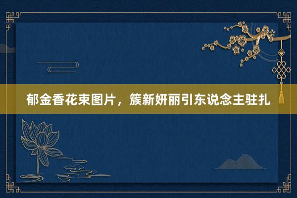 郁金香花束图片,簇新妍丽引东说念主驻扎